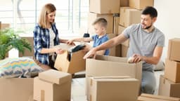 Illustration article