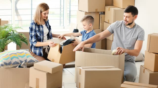 illustration article